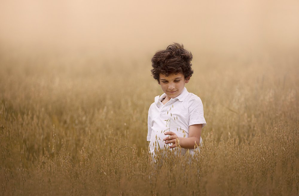 Photograph by Any Giusto