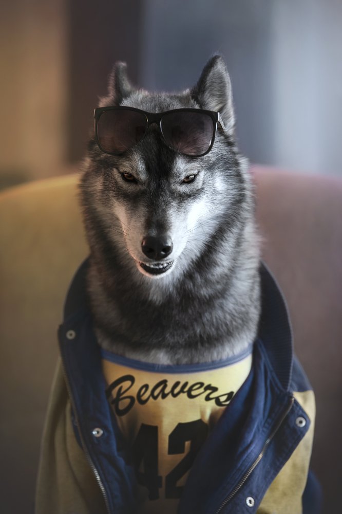 Photograph by Erika Tsogoeva