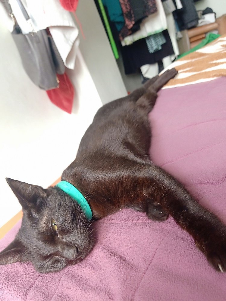 Photo #3981013