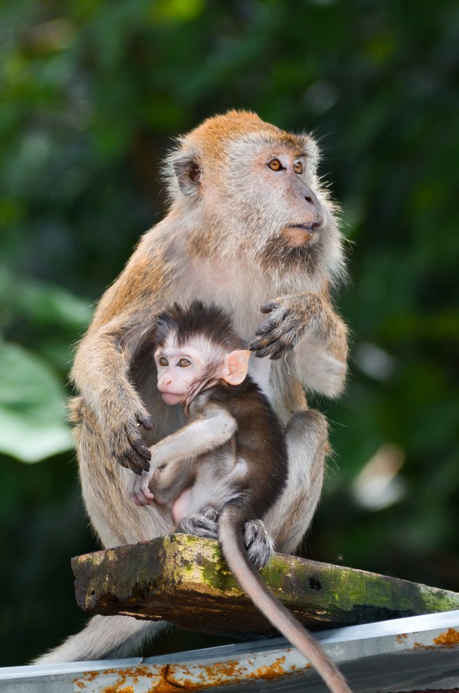 Photograph by Theo Crazzolara