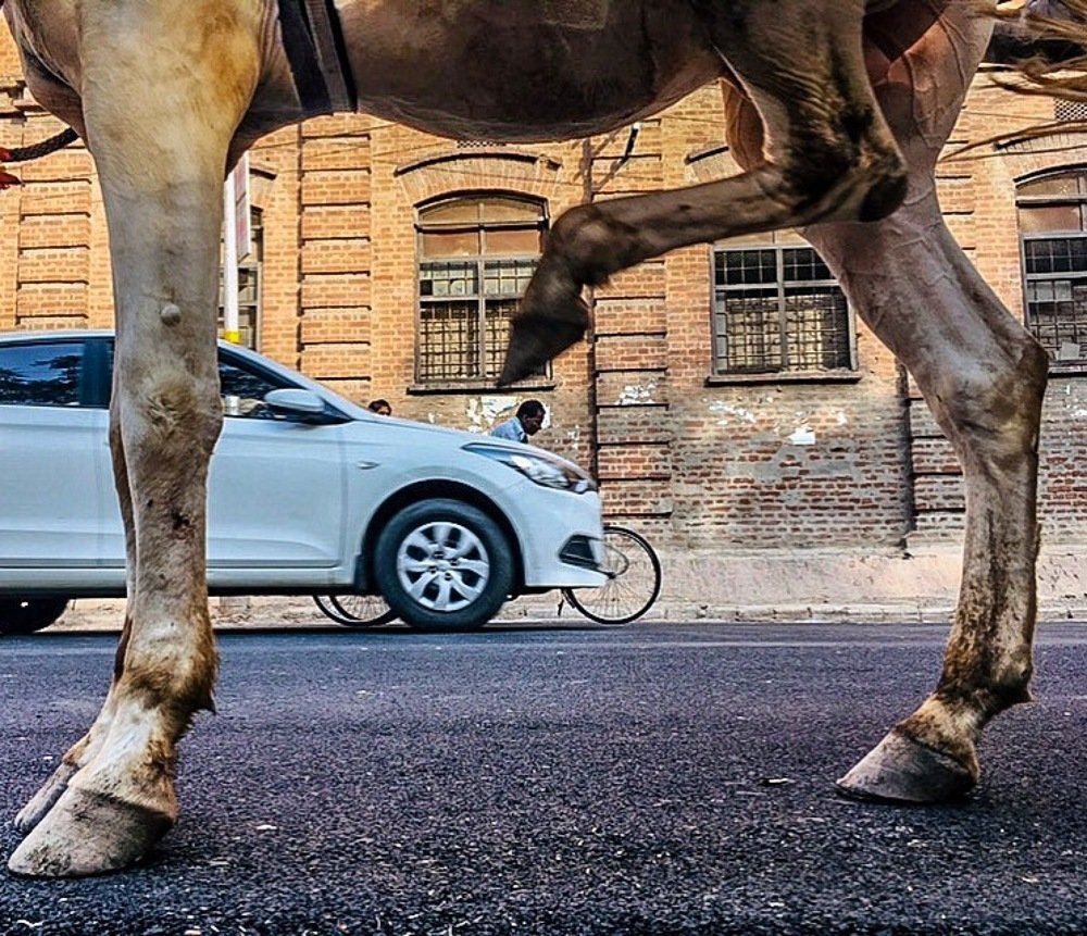 Photograph by Ashish patel