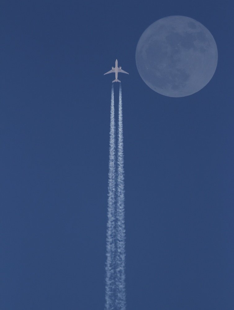 Photograph by Ali mohammad Hoseinzadeh