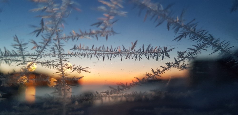 Frost crystals