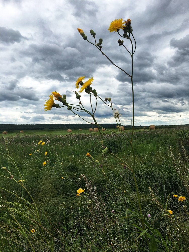 Photograph by Марина Данилюк