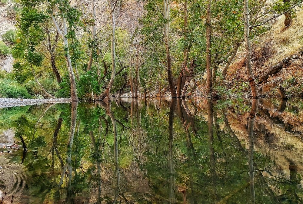 Photograph by Yahya Kakapour