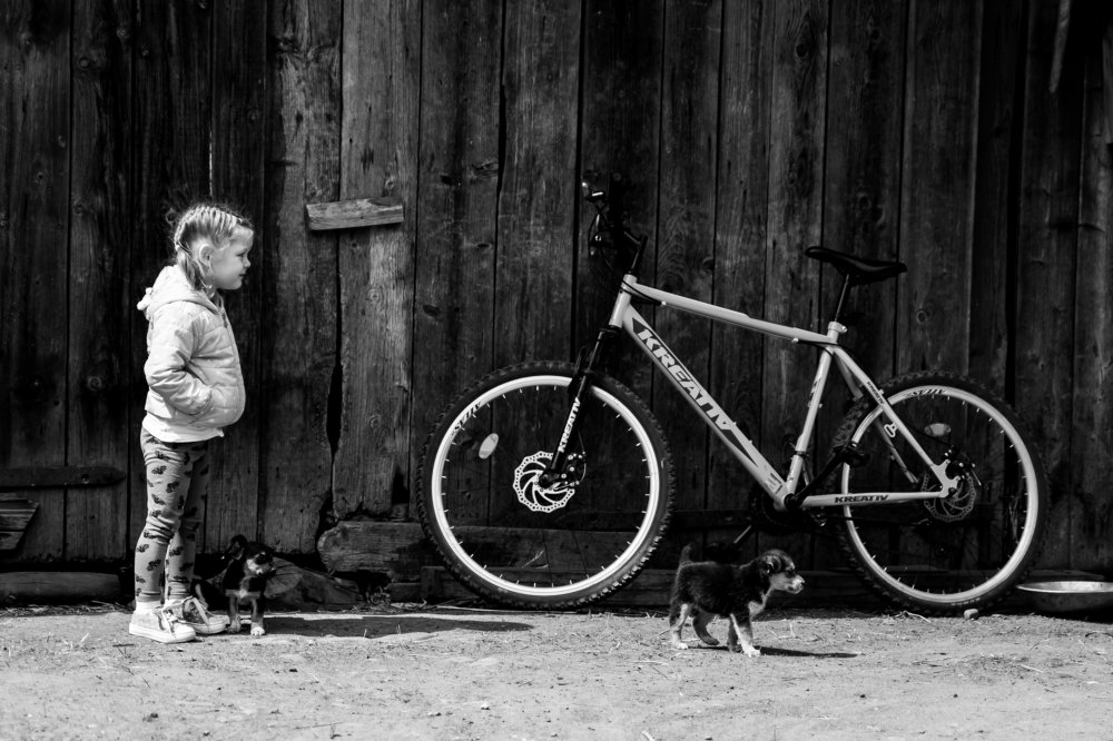 Фотография автора Adrian Bodale