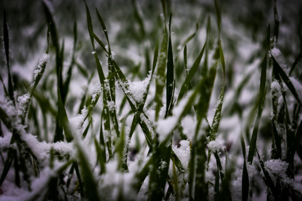 Комбинация сезонов