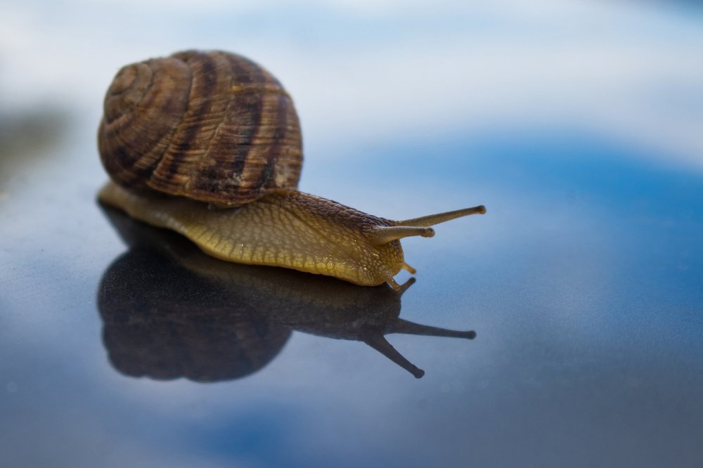 Photograph by Алексей Белоножко