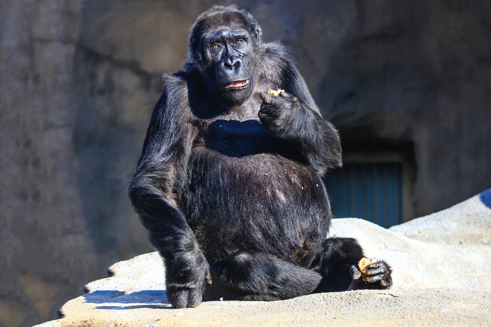 Photograph by Лариса Рулёва