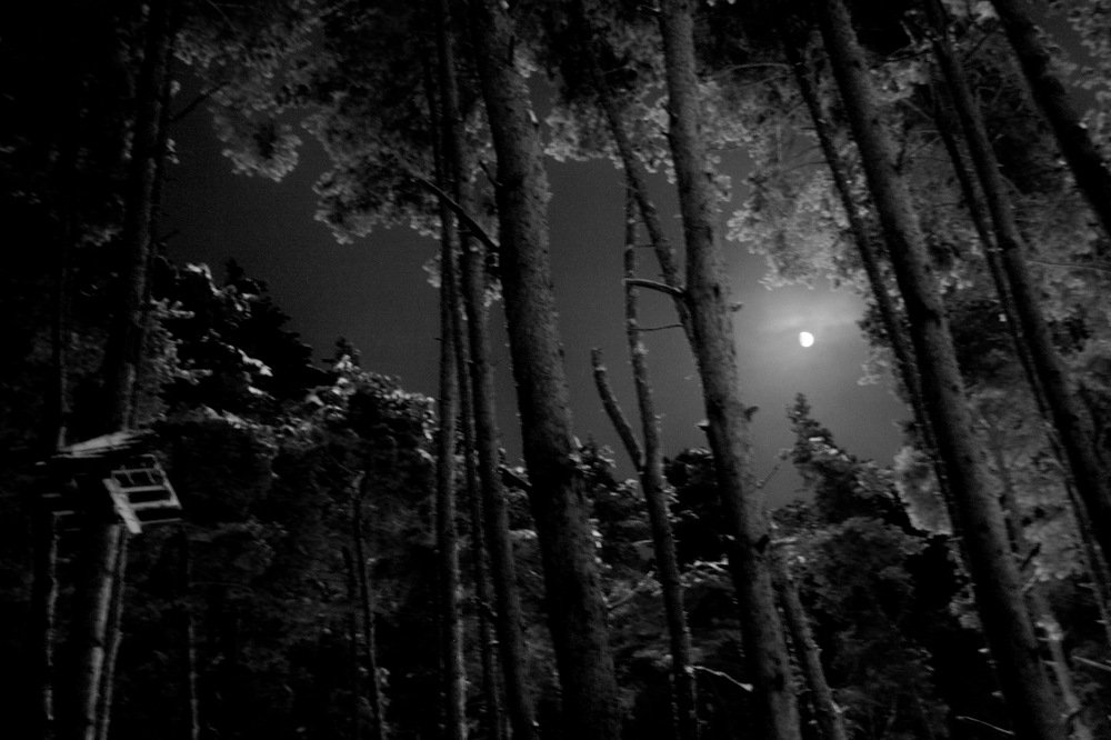 Photograph by Вадим Беляев