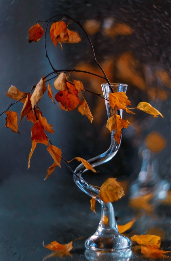 Октябрь в нашем доме...