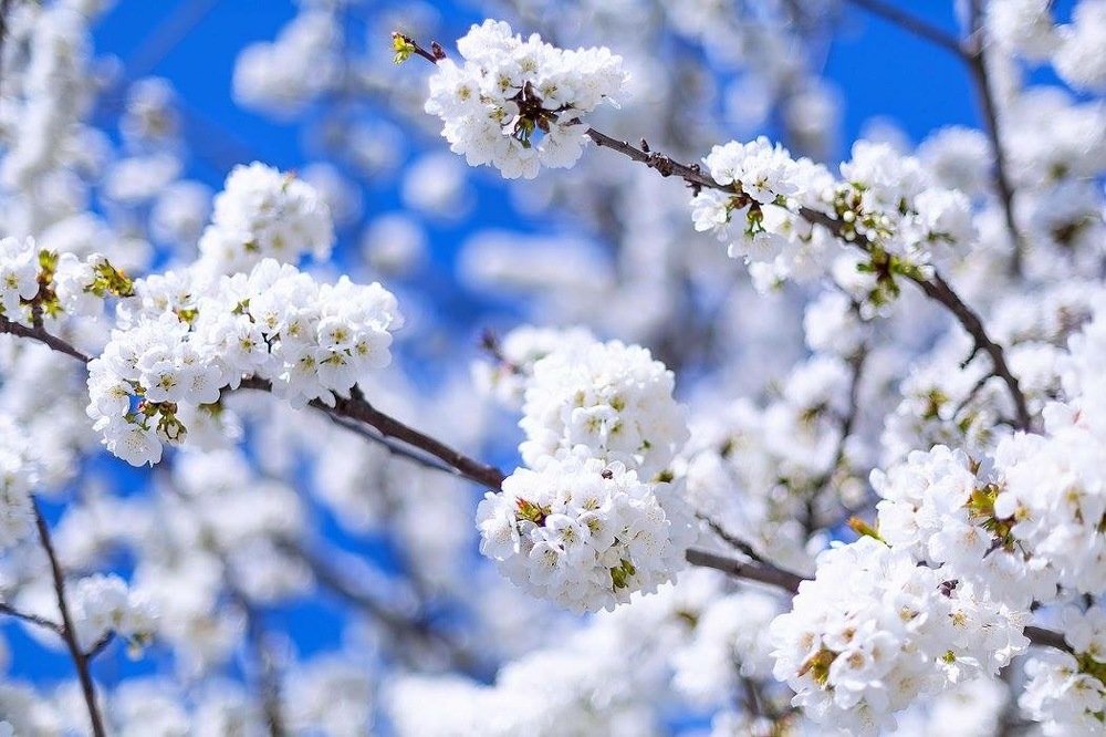 Photograph by Наталья Антипас