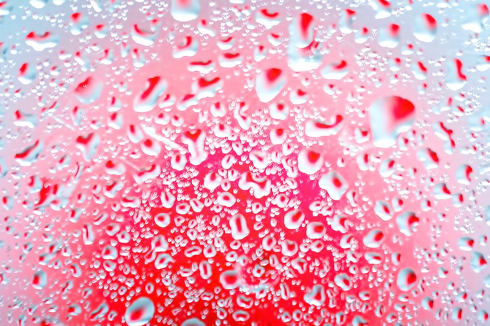 Photograph by Наталья Антипас