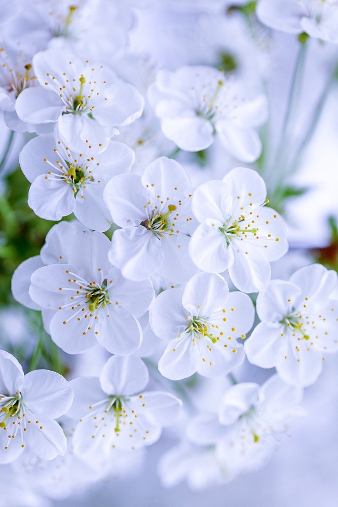 Photograph by Наталья Антипас