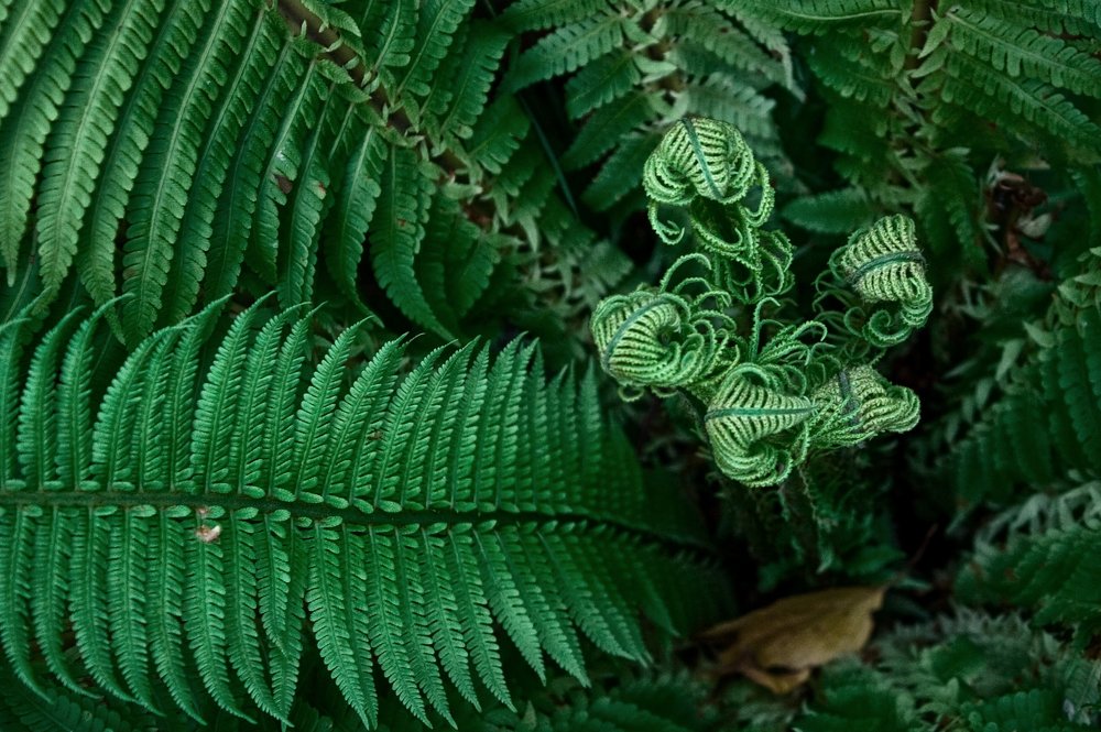 Photograph by Наташа Фишер