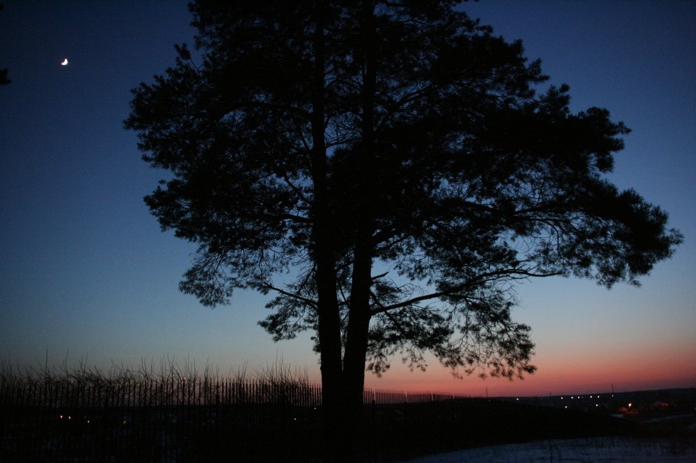 Photograph by Вадим Беляев