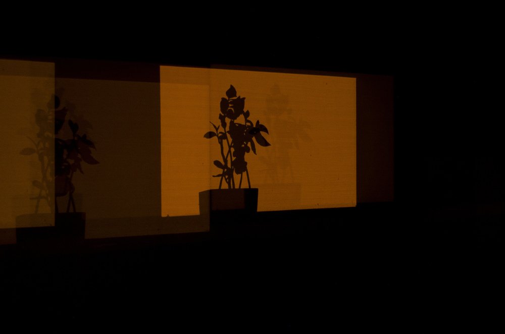 Photograph by Дмитрий