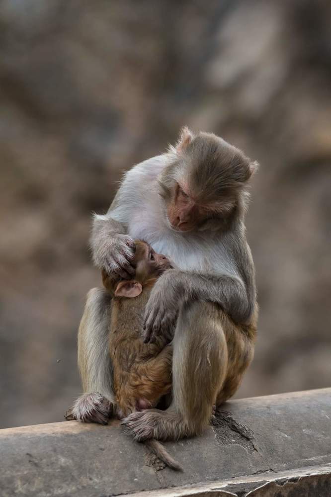 Photograph by Maria Victoria Lopez