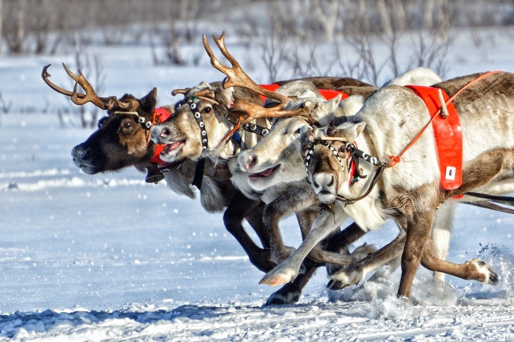 - Ух ты! Фотограф!