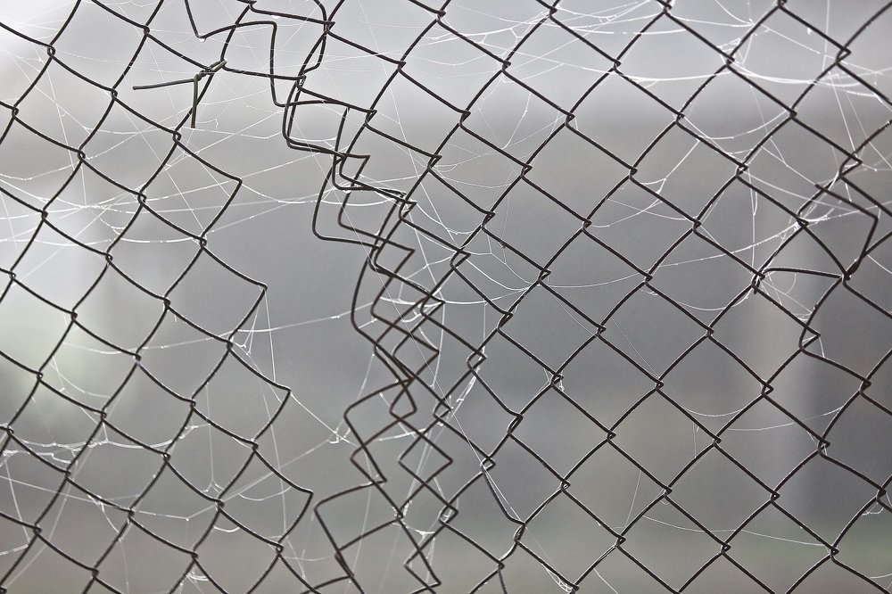 Фотография автора Наталья Васько -Черданцева