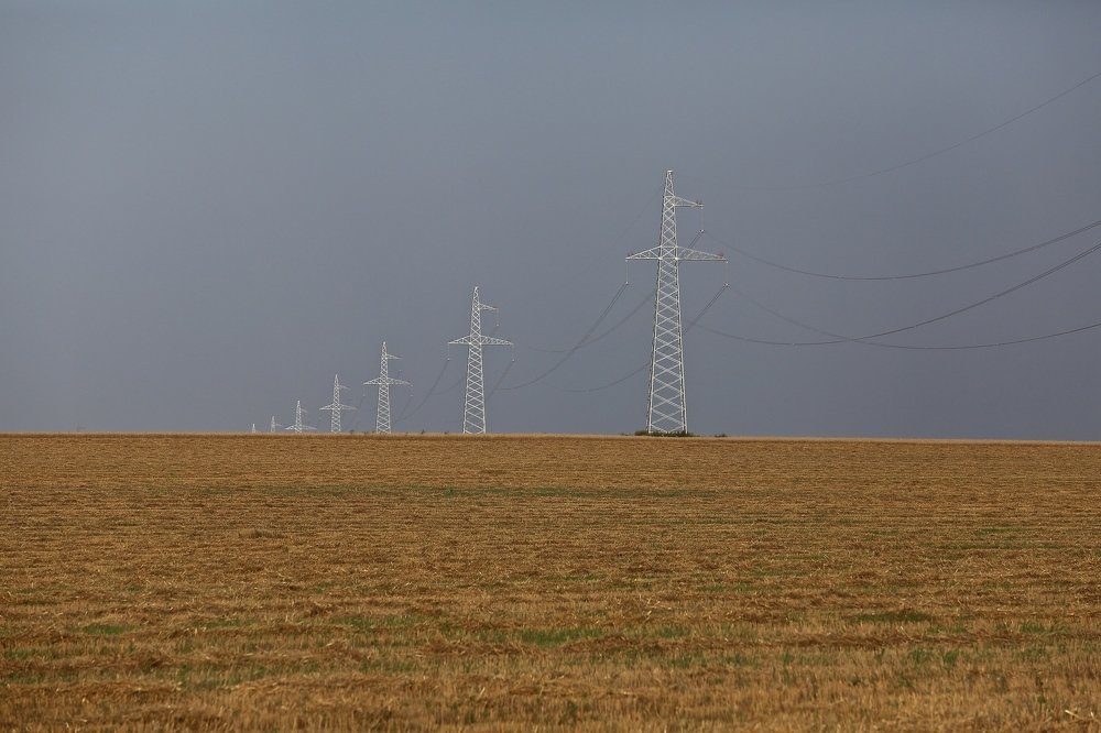 Фотография автора Наталья Васько -Черданцева