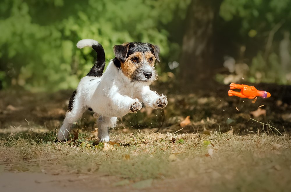 Photograph by Екатерина Кикоть