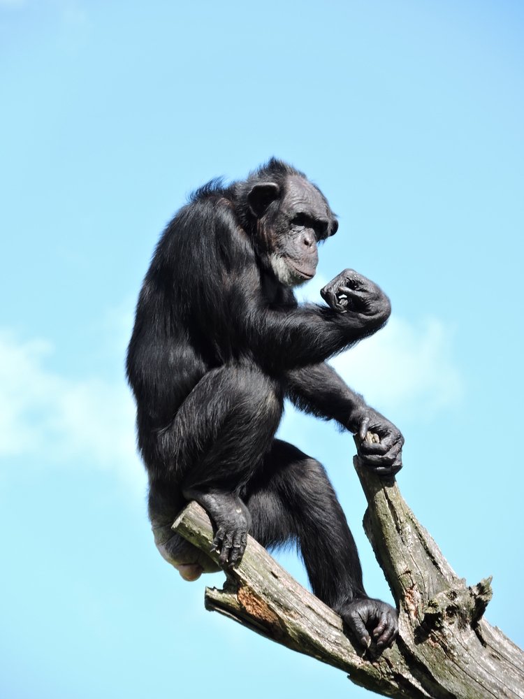 Photograph by Ija Reiman