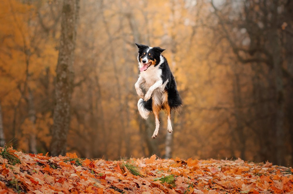 Photograph by Екатерина Кикоть