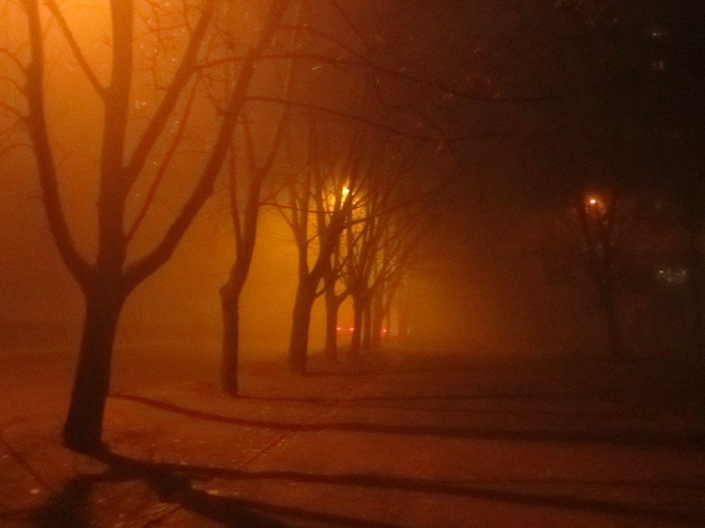 Photograph by Anna Krasova