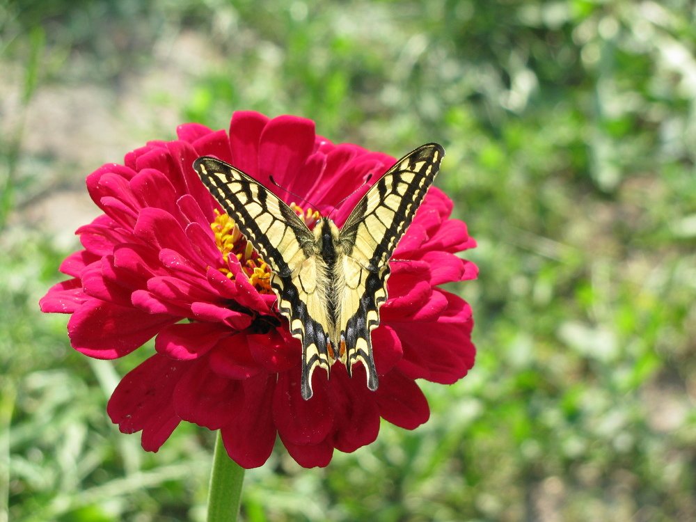 Photograph by Алексей