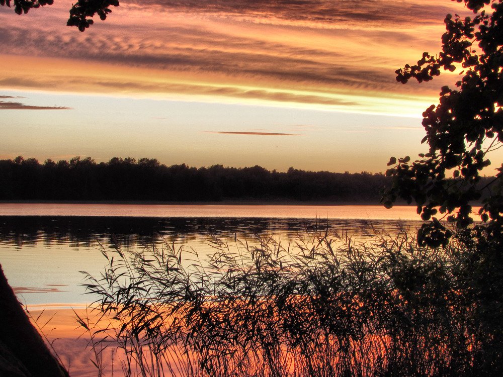 Photograph by Алексей