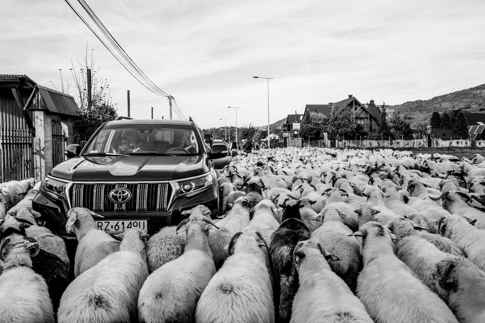 Photograph by Anna Piwowarska-Sosik