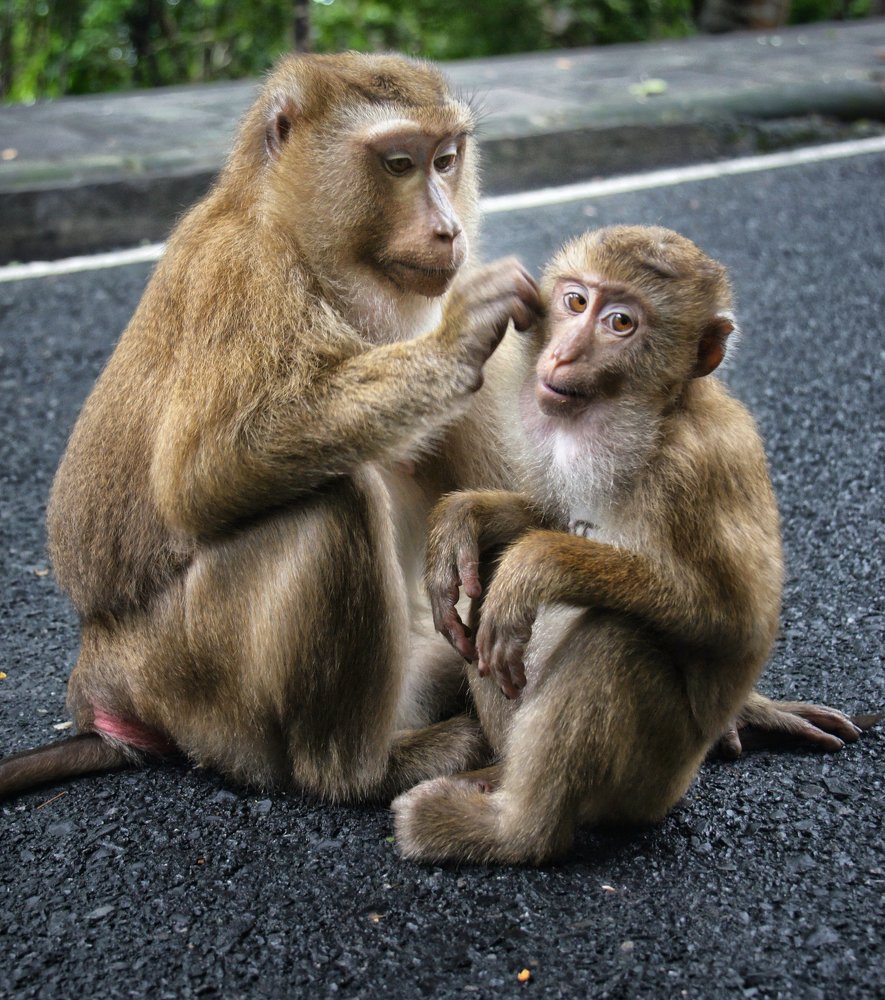 Photograph by Вероника Раевская