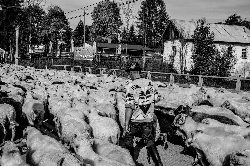 Photograph by Anna Piwowarska-Sosik