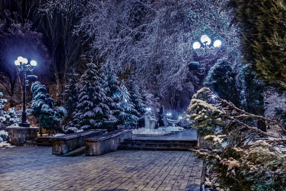 Photograph by Александр Стрельченко