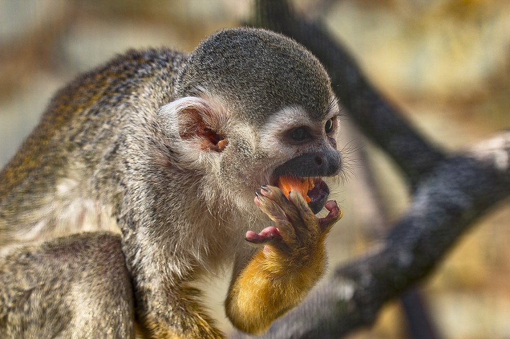 Photograph by Евгений Барзенков