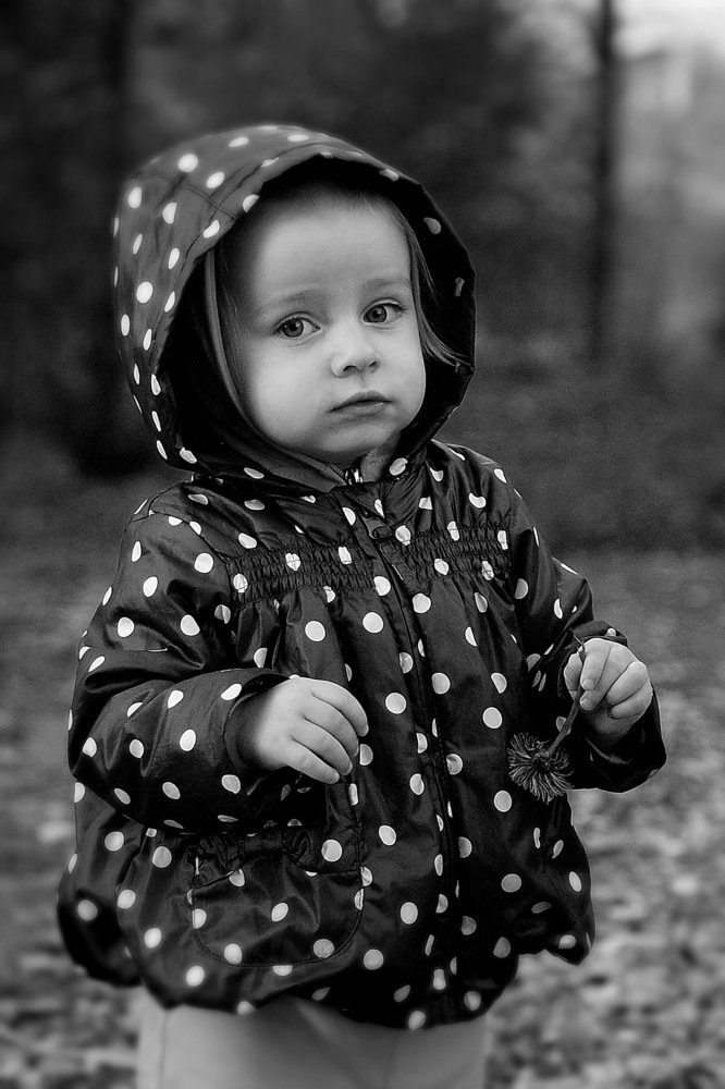 Photograph by Федулов Дмитрий