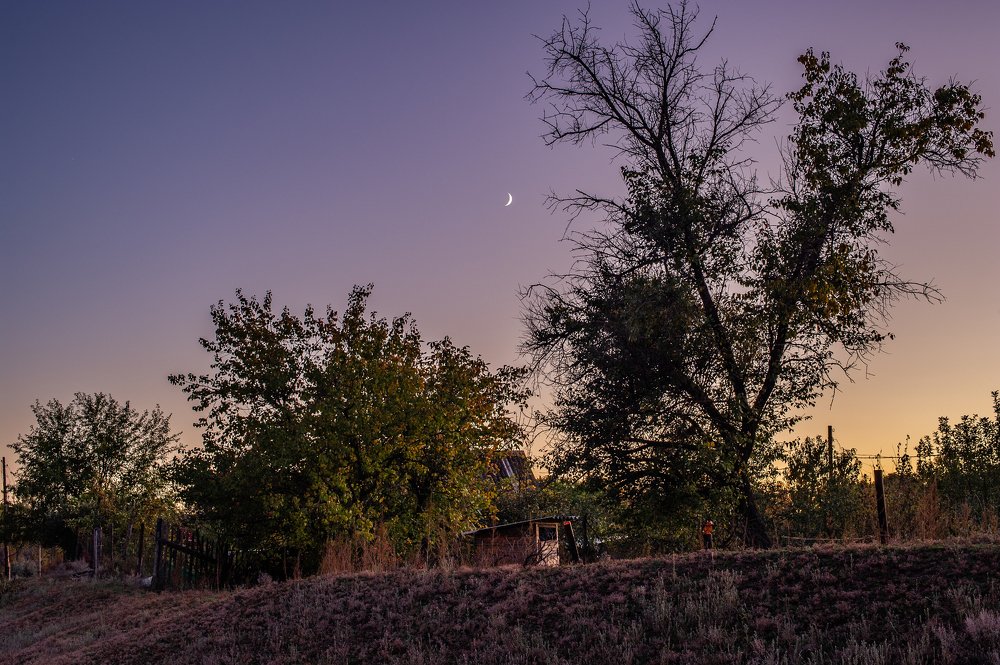 Photograph by Роман Васильев