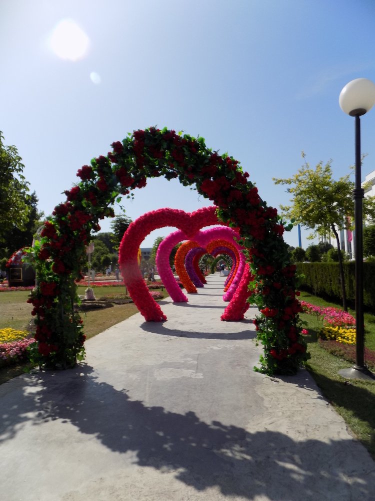 Photograph by Марина Белькова