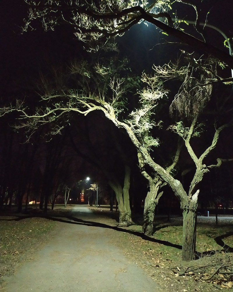 Photograph by Юлия