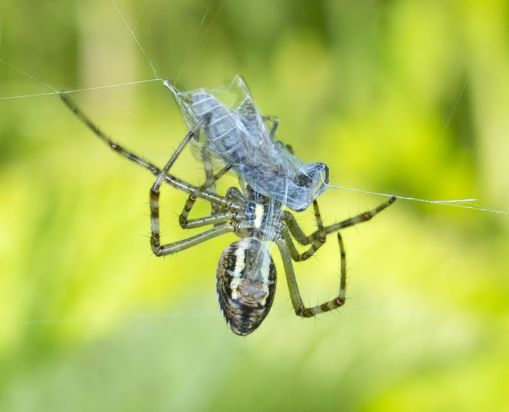 Photograph by Владимир Богданов