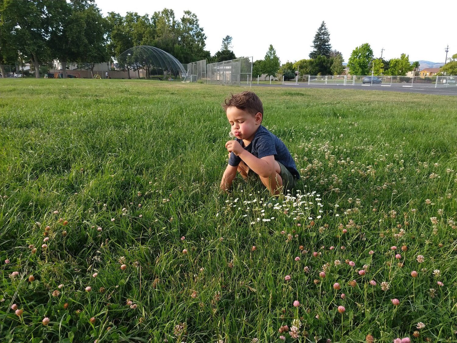Boy and flowers