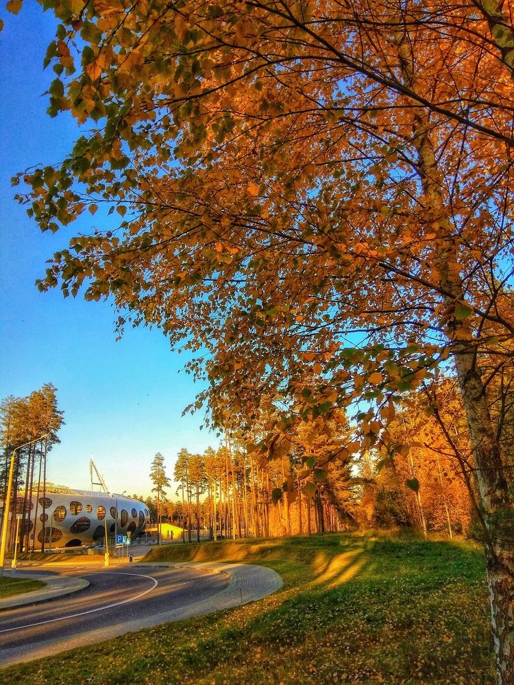 Осенний день