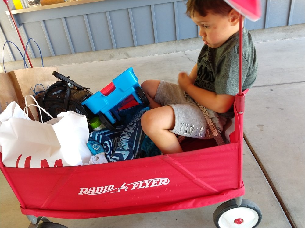 Photo #3982261