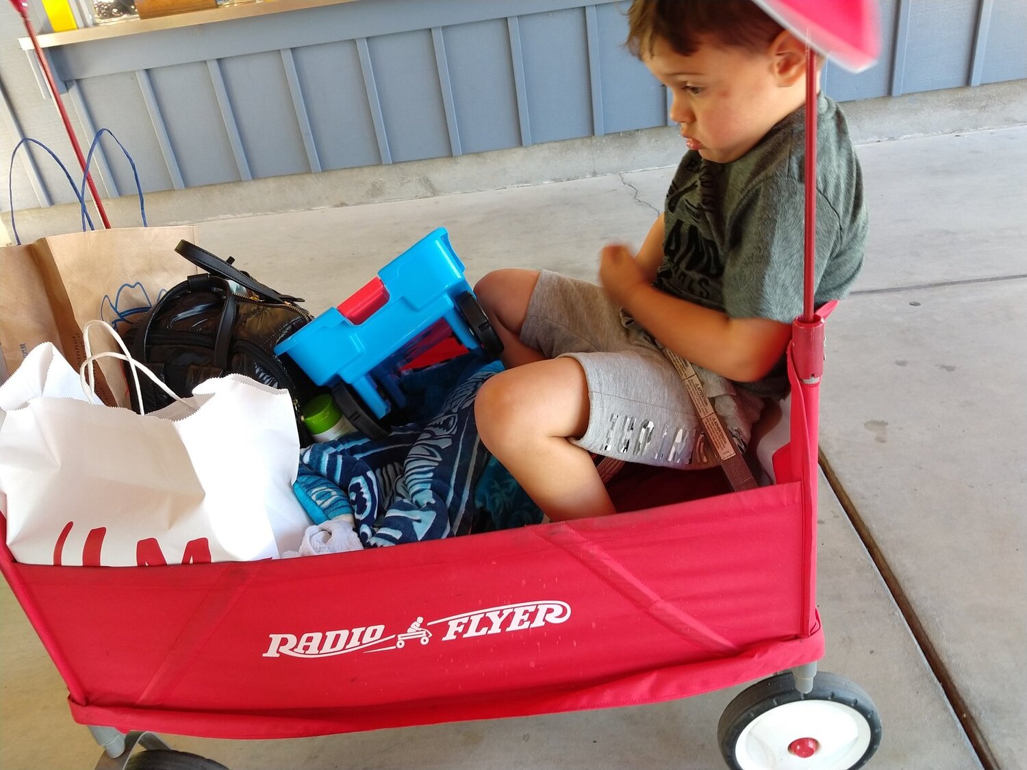Photo #3982261