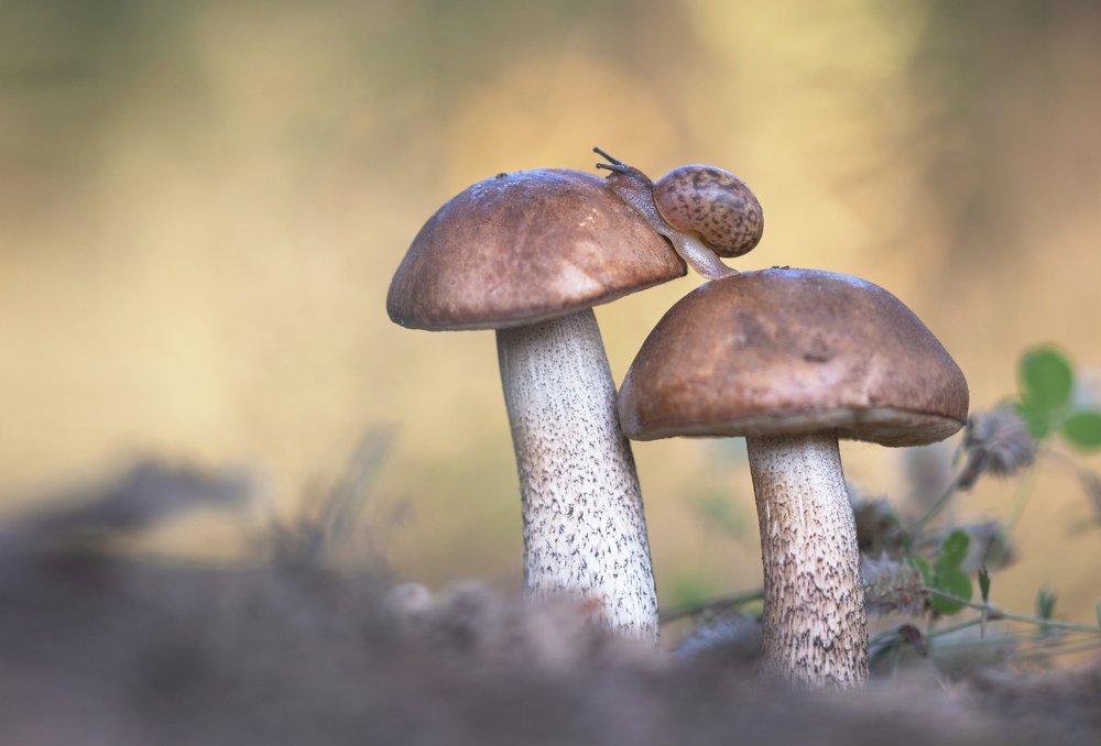 Photograph by Людмила Гудина