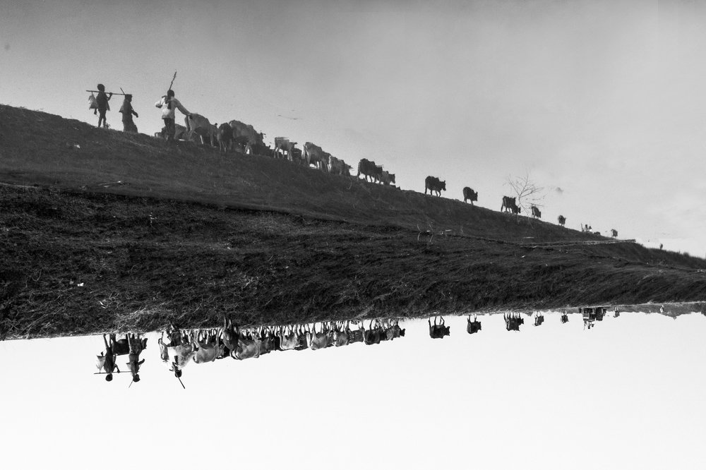 Photograph by Rezaul Hayat