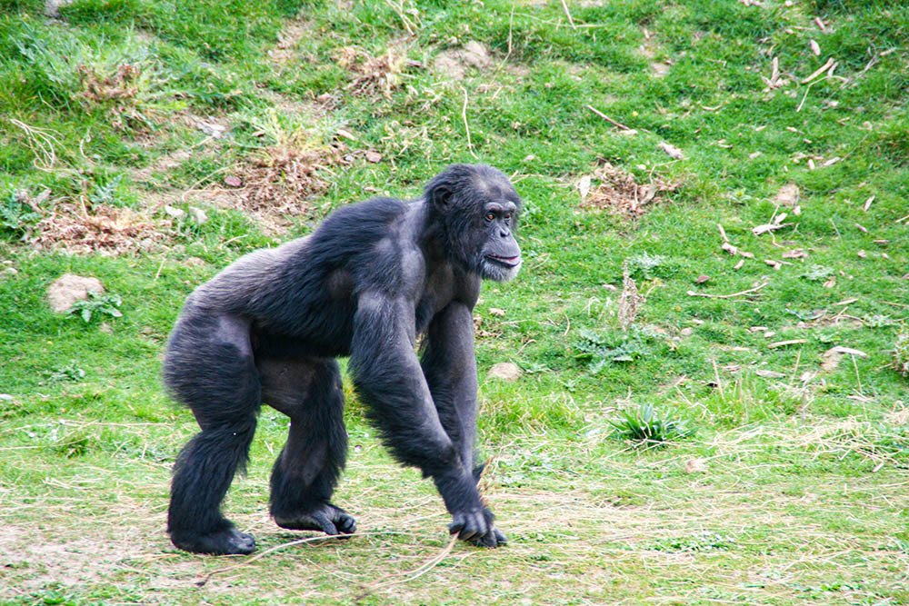 Photograph by Эдуард Шадров