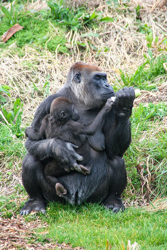 Photograph by Эдуард Шадров