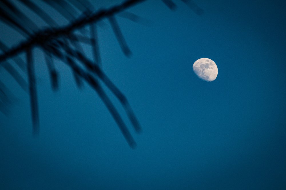 Evening moments